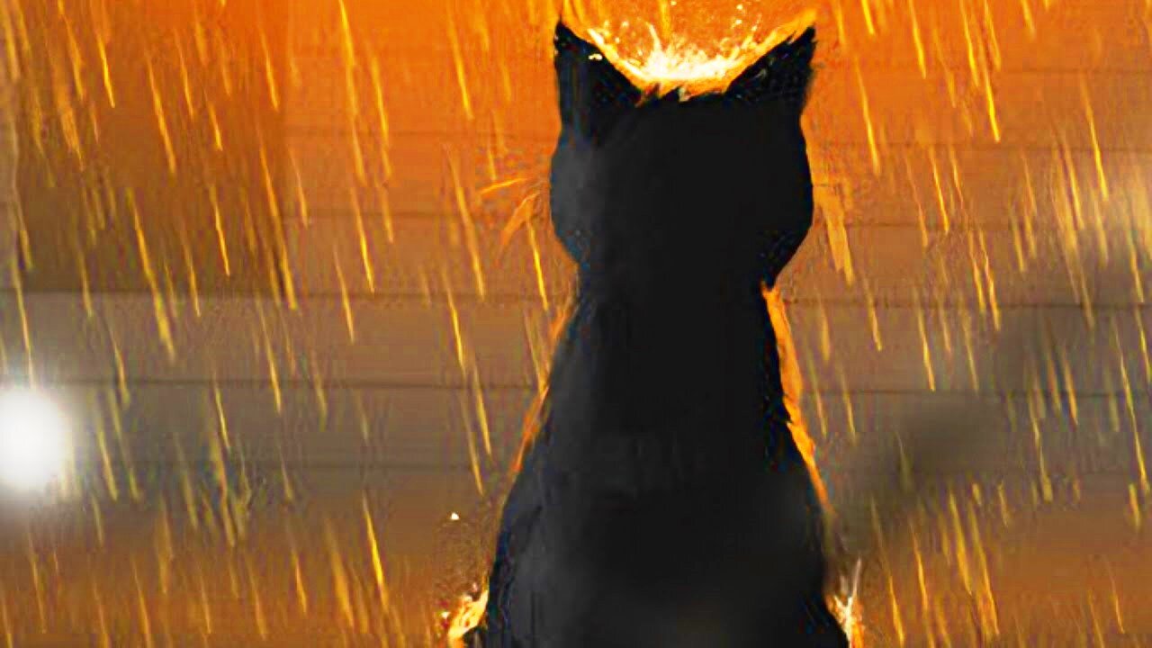 COPYCAT Walkthrough Gameplay Letsplay DEMO PS5 Pro No camera No commentary