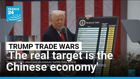 The real target is the Chinese economy, trade expert says, as 50% metals tariffs take effect