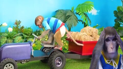 Today driving Automoter Bonmonkeykiki Now It's|| animalht video || video..