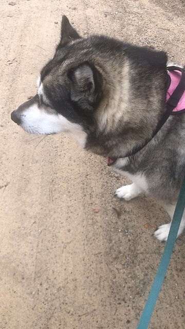 Monday April 7, Happy is the person who finds wisdom.