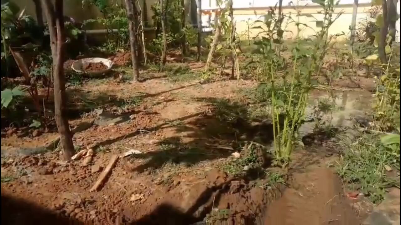 DIY Mini Concrete Dam: Create a Stunning Garden Feature on a Budget!