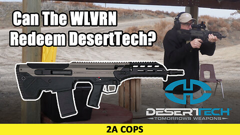 Can The Wlvrn Redeem DesertTech?