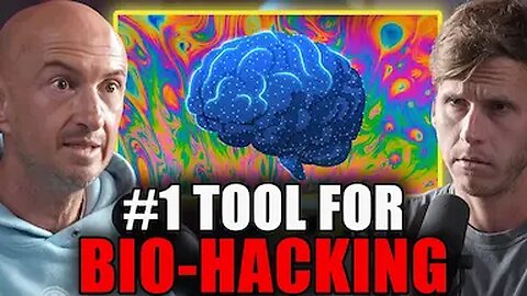 Top Neurobiologist: "DMT is Not a Drug, it's a Technology!" | Andrew Gallimore