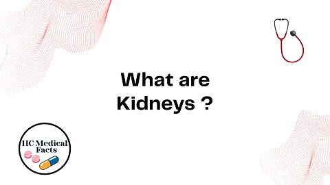 What are Kidneys ?