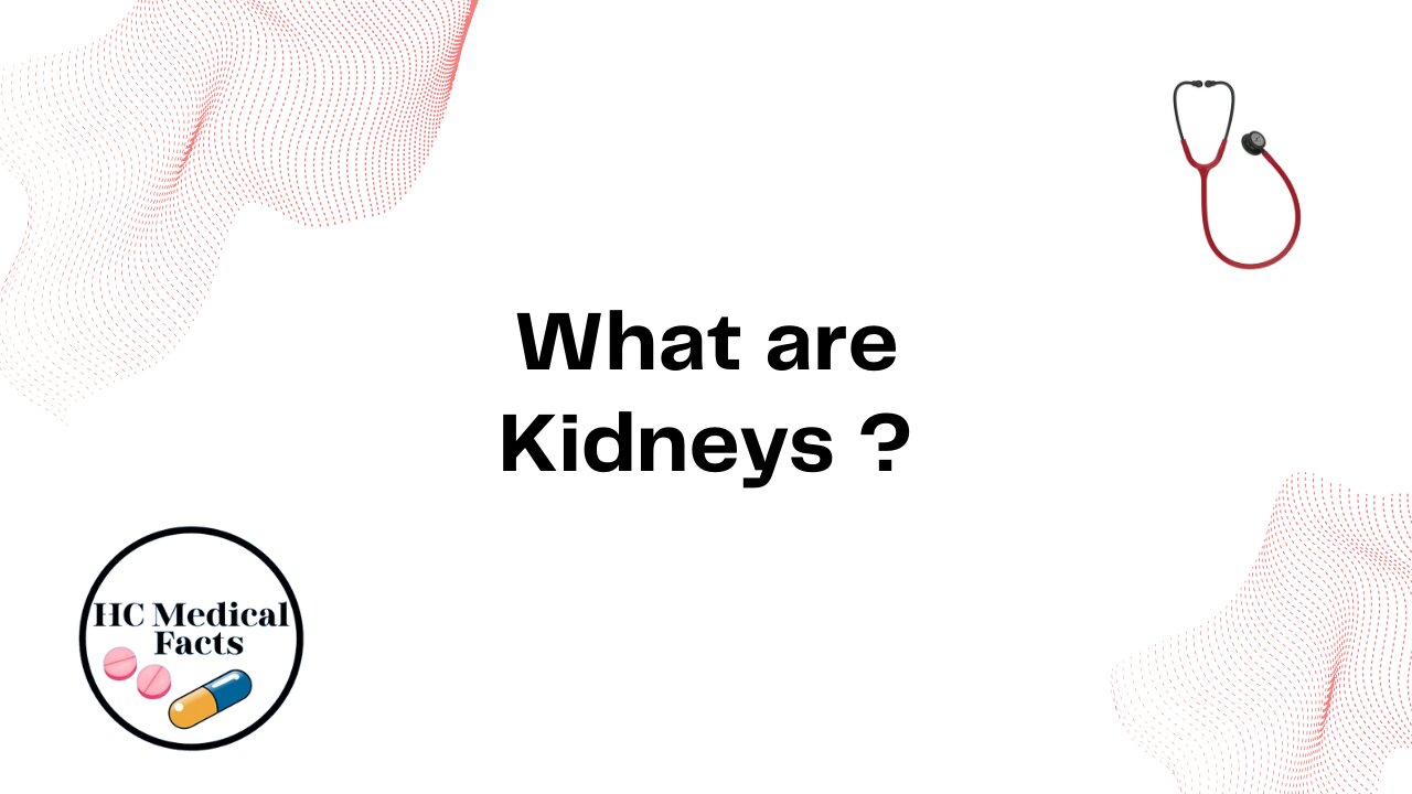 What are Kidneys ?