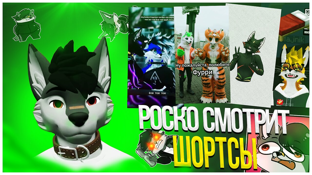 🐺 Роско смотрит Shorts Грини, Мэджика, Реди, Блуби