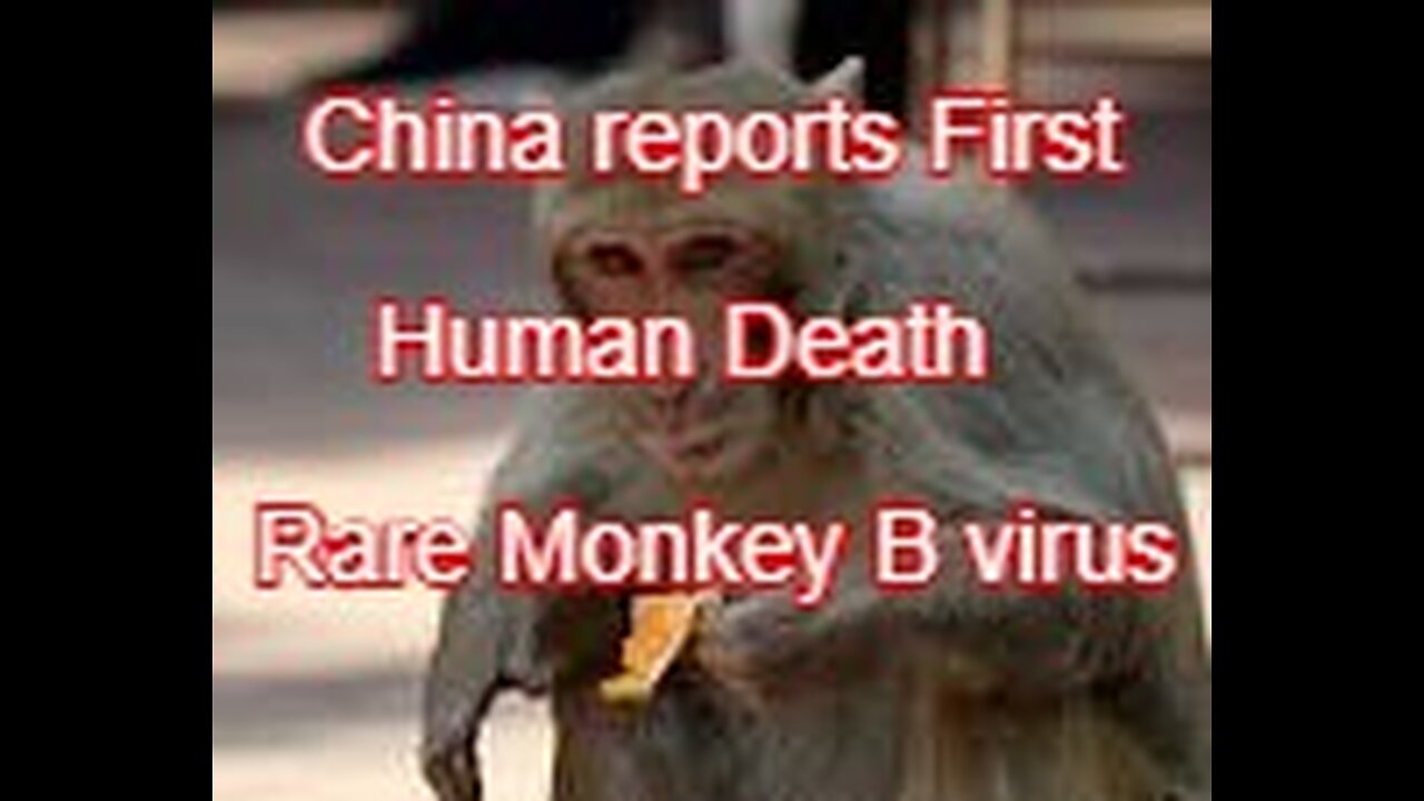 China reports its first human death from rare monkey B virus