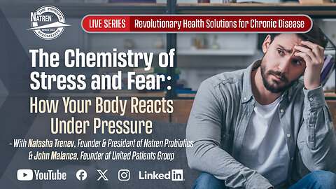 The Chemistry of Stress and Fear: How Your Body Reacts Under Pressure