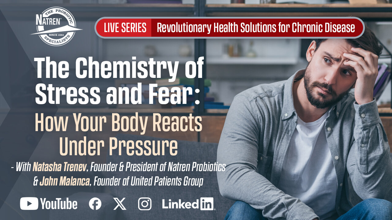 The Chemistry of Stress and Fear: How Your Body Reacts Under Pressure