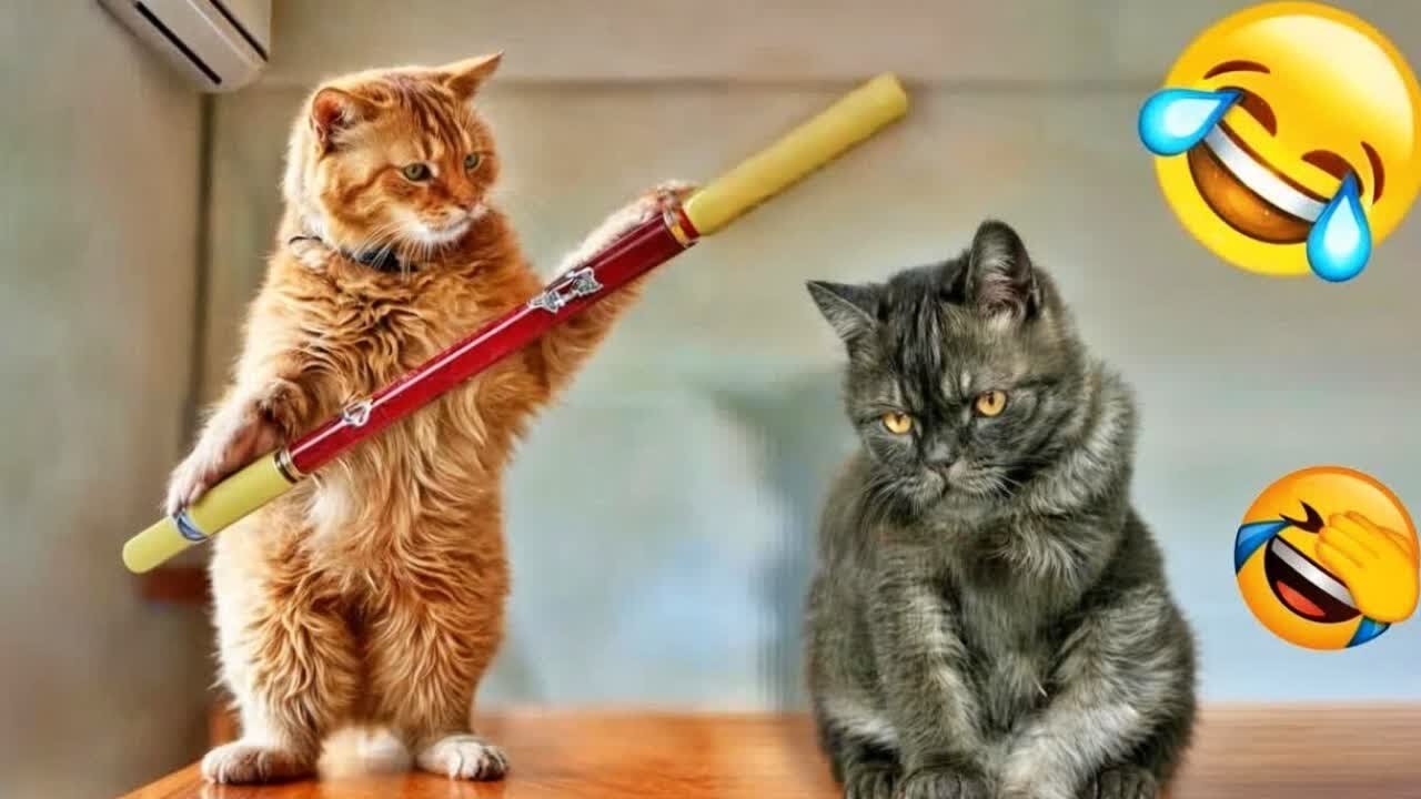 Viral Try Not To Laugh Cats And Dogs Videos 😁 - BEST Funny Animal Videos 2025
