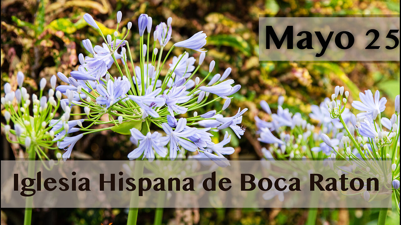 Servicio de Igleisa Hispana de Boca Raton 05/25/2025