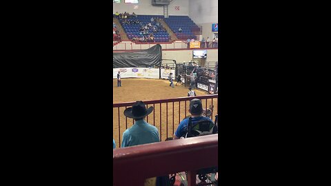 Bareback Bronc Ride
