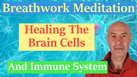 Breathwork Meditation Healing The Brain Cells And Immune System