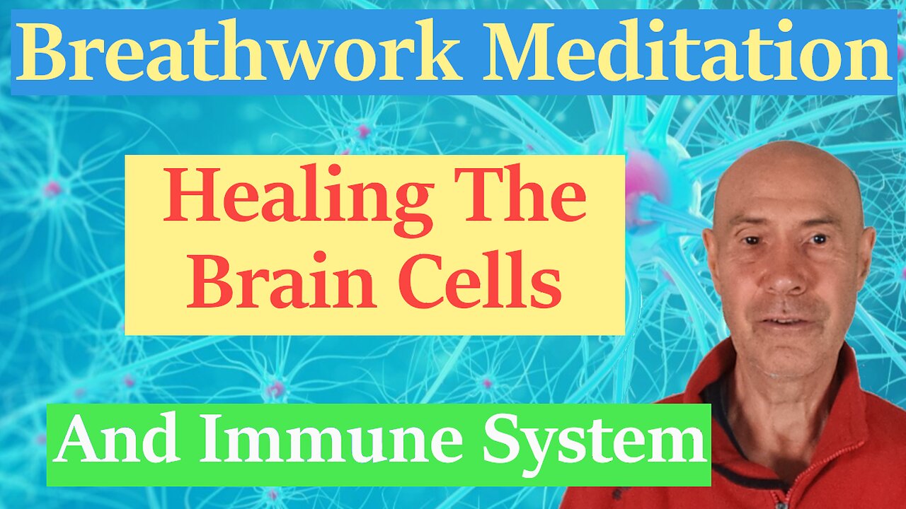 Breathwork Meditation Healing The Brain Cells And Immune System