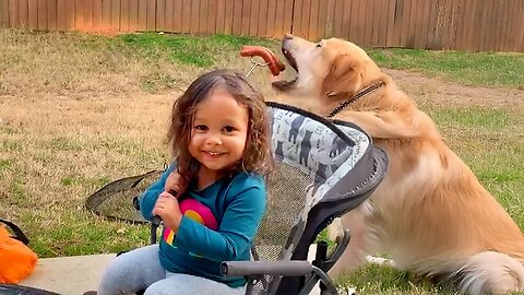 AFV's Funniest Dogs! 🐶 Best Puppy Fails