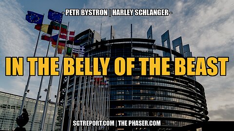 IN THE BELLY OF THE BEAST -- Petr Bystron & Harley Schlanger