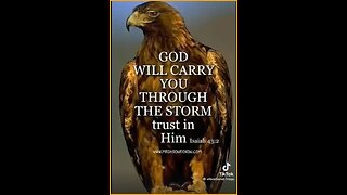 Judy Byington ~ Situation Update 7/31/25 .......