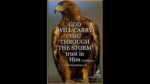 Judy Byington ~ Situation Update 7/31/25 .......