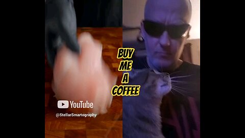 Would You Eat This Fried Chicken Tortilla Wrap with Queso Cheese? DELICIOUS Yum RECIPE