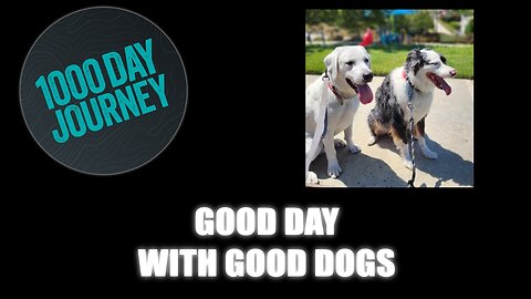 1000 Day Journey 0726 Good Day, Good Dogs