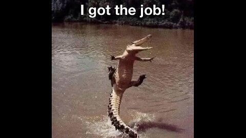 I had a chuckle at this i hope u do too