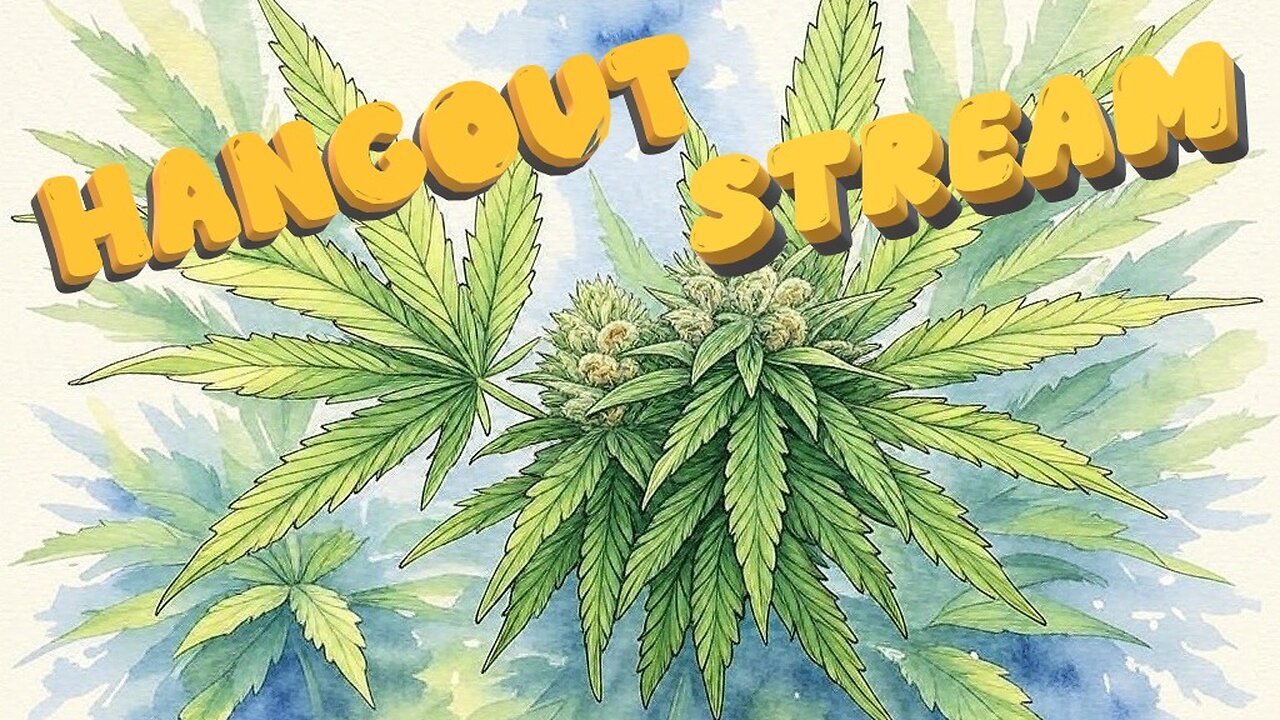 Hangout Stream