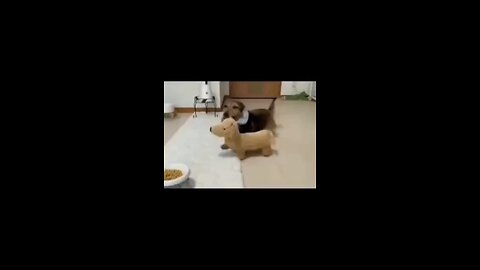 Doggo Invites Fake Friends Just to Eat All the Food 😂🐶🍽️