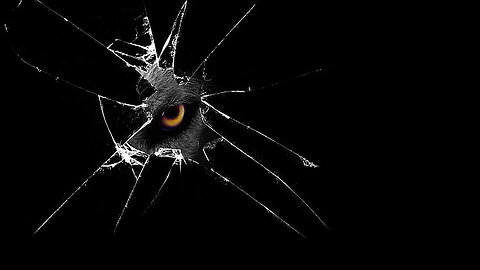 The Dead Internet Theory: Is the Web Still Human?! 🔥