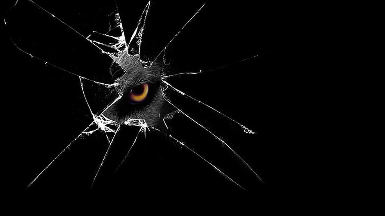 The Dead Internet Theory: Is the Web Still Human?! 🔥