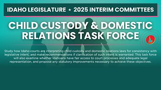 Child Custody & Domestic Relations Task Force | July 31, 2025 FULL MEETING