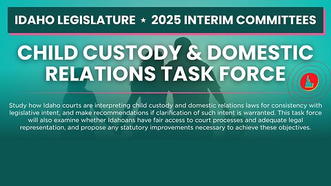 Child Custody & Domestic Relations Task Force | July 31, 2025 FULL MEETING