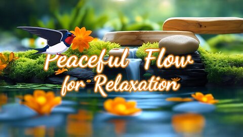 Peaceful Flow to Calm Your Mind and Body 🌿