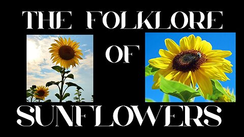 S9 Ep 10 The Sunflower's Secret: Folklore, Stories & More!