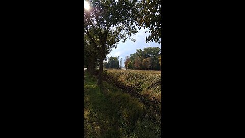 sun shower