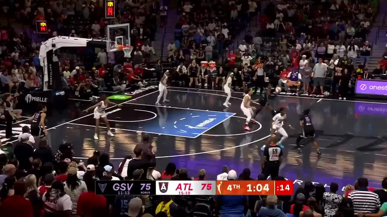 ‘Oh My Gosh’: Fan Throws Dildo on Court During WNBA Game