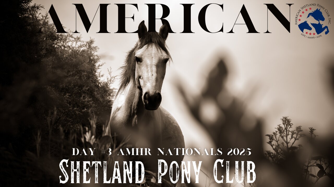 AMHR Nationals 2025 (Day #3) Ford Arena 9/6/2025
