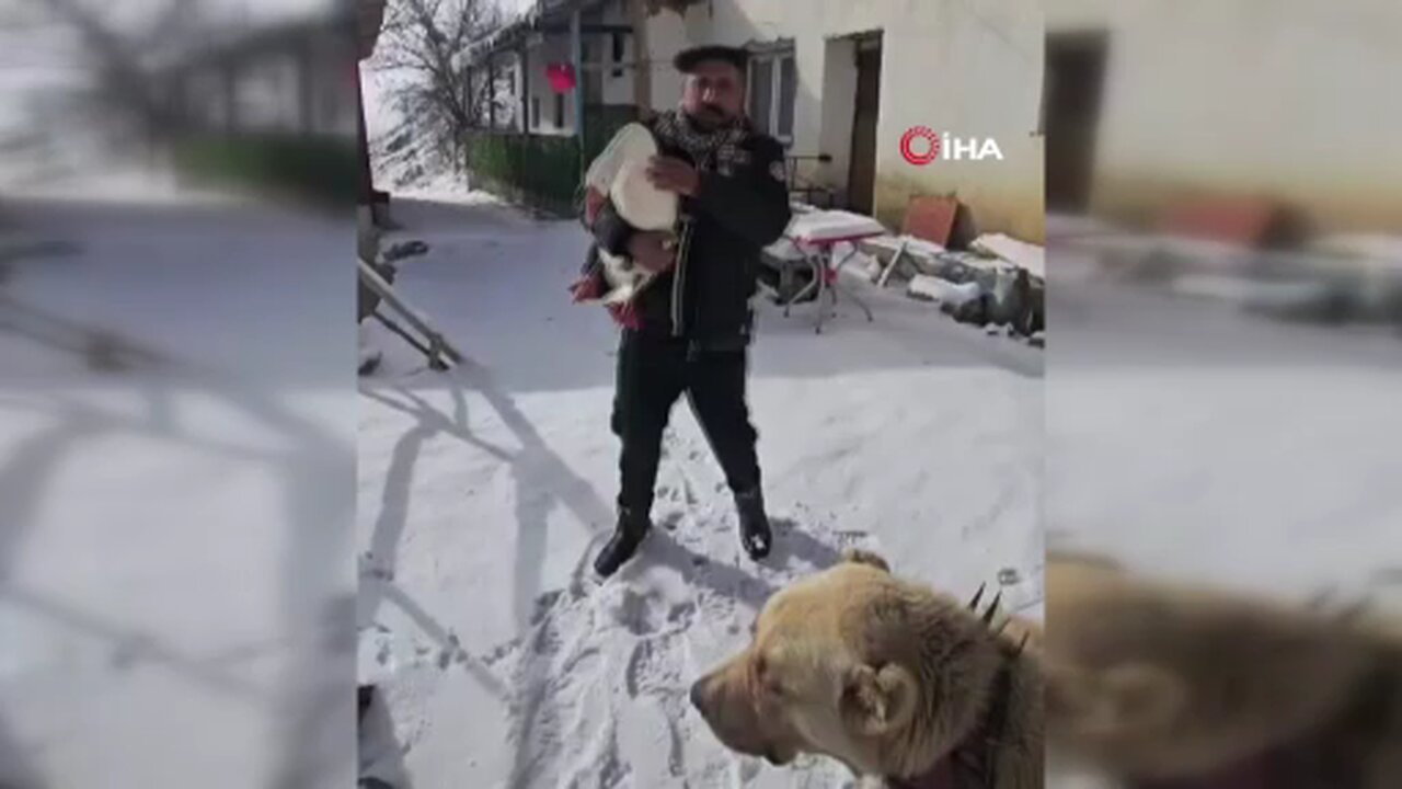 Kazından helallik istedi