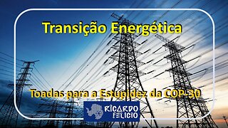 Transição Energética: Toadas da Estupidez para a COP-30