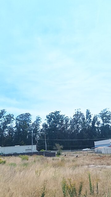 draccopter and chemfog