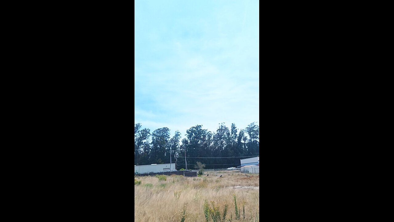 draccopter and chemfog