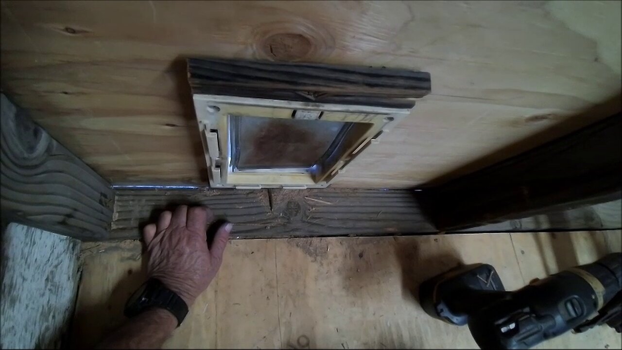 Installed the cat door