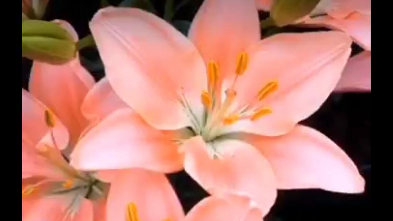 JOSEPH: FORWARD BY FAITH - DAILY DEVOTIONAL ❤️