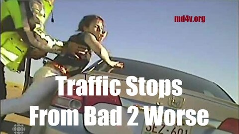 9425 - Terry Reports - WARNING! Stupidity and Graphic Violence - Traffic Stops Go Bad!