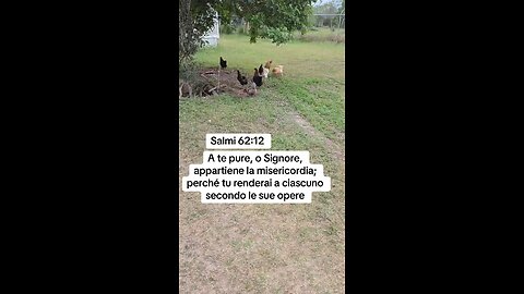 Salmi 62:12 #Dios #Gesu #Bibbia