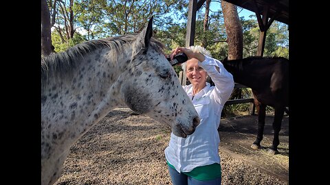 Quantum Veterinary Medicine-With Roger Meacock