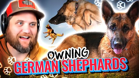 Quartering Members Vlog! Owning German Shepherds