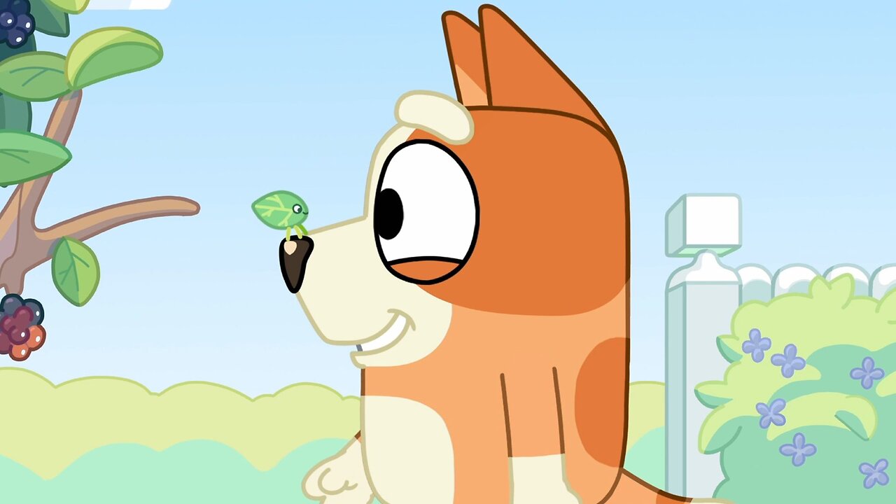 Bluey - Bingo Meets The Leaf Bug