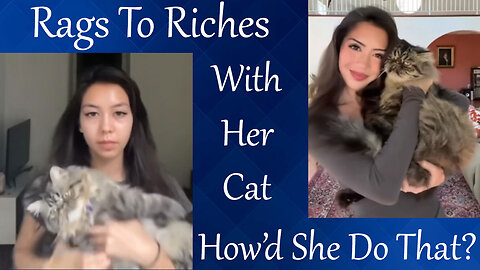 She Went From A Dinky Apartment And A Cat To A Grand Home, With A Cat