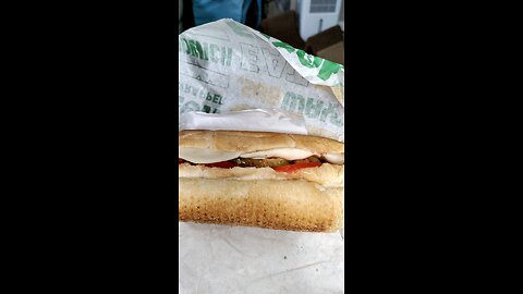 Meal, Subway, Telegraph Rd, Dbn, MI, 6/18/25