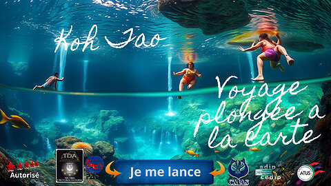 Voyage plongée a la carte, la Liberté Sous-Marine, Votre Voyage Plongée Personnalisé, Votre Paradis